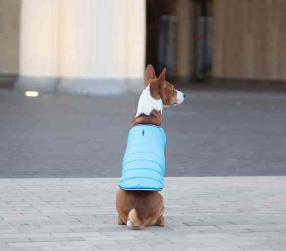 Курточка-накидка для собак AiryVest, M, B 52-62 см, С 36-47 см блакитний Коломыя