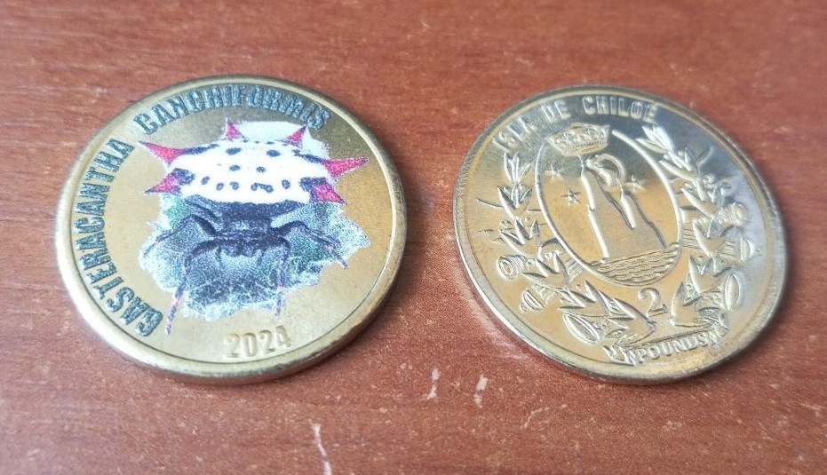 Острів де ЧІЛІ 2 фунта 2024 павук Полтава - изображение 1