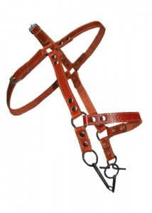 Вуздечка 937 шкіра Вінниця - фото 1