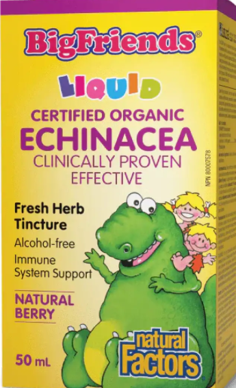 Дитяча настоянка ехінацеї Natural Factors BigFriends Echinacea Alcohol-Free Free Fresh Herb Tincture for Kids 50 ml Київ - фото 1