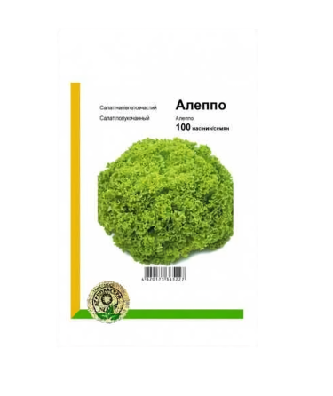 Семена Салат Алеппо (15 г) для всесезонного выращивания, Rijk Zwaan Винница