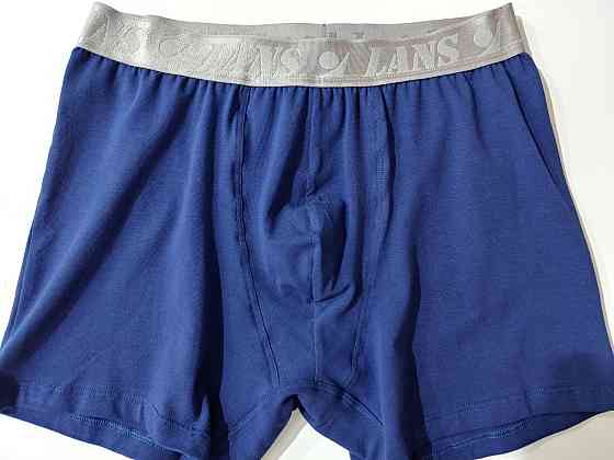 Трусы мужские шорты Lans 06/037 3XL, Синий Киев