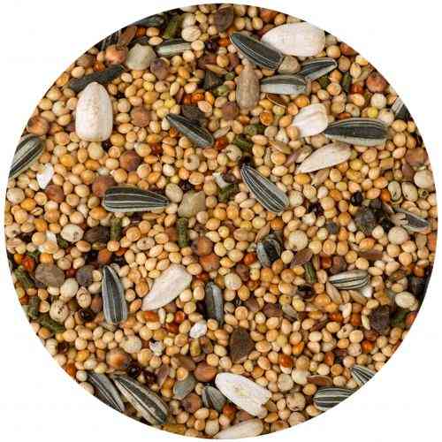 Корм Vitakraft Premium Vital для нимф 1 кг. Киев