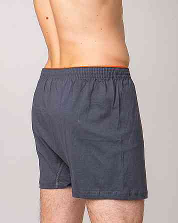 Сімейні чоловічі труси 100% бавовна Ozkan 0041-1 S Київ