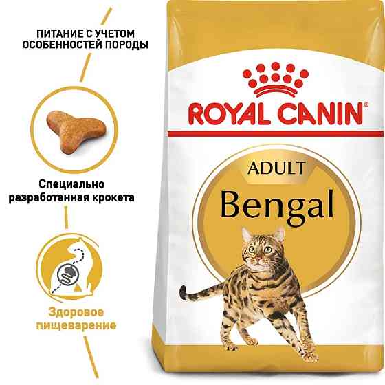 Роуал Canin Bengal Adult (Рояв Канін Бенгал) сухий корм для котів бенгальська від 12 місяців 2 кг. Запоріжжя