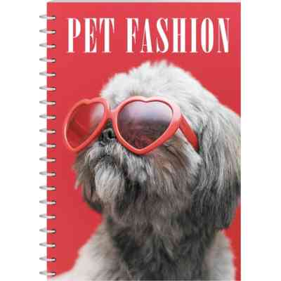 Блокнот Economix А5 пластиковая обложка, спираль, 80 листов, клетка (E21958-02) Винница