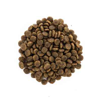 Сухой корм для кошек Brit Care Cat GF Sensitive HDigestion and Delicate Taste 7 кг (8595602540693) Винница