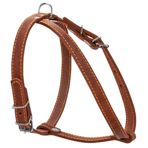 Шлея "CoLLaR" одинарна для малих порід собак (ширина 14мм, А:40-48см, В:43-51см) коричневий Київ