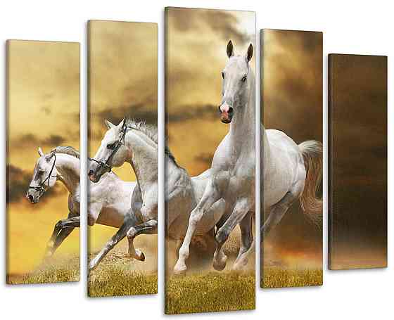 Модульна картина Коні Art-77_5 Київ