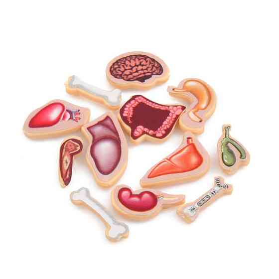 Дитяча настільна гра "Crazy Doctor" 1295-3 ігрове поле, рулетка Вінниця