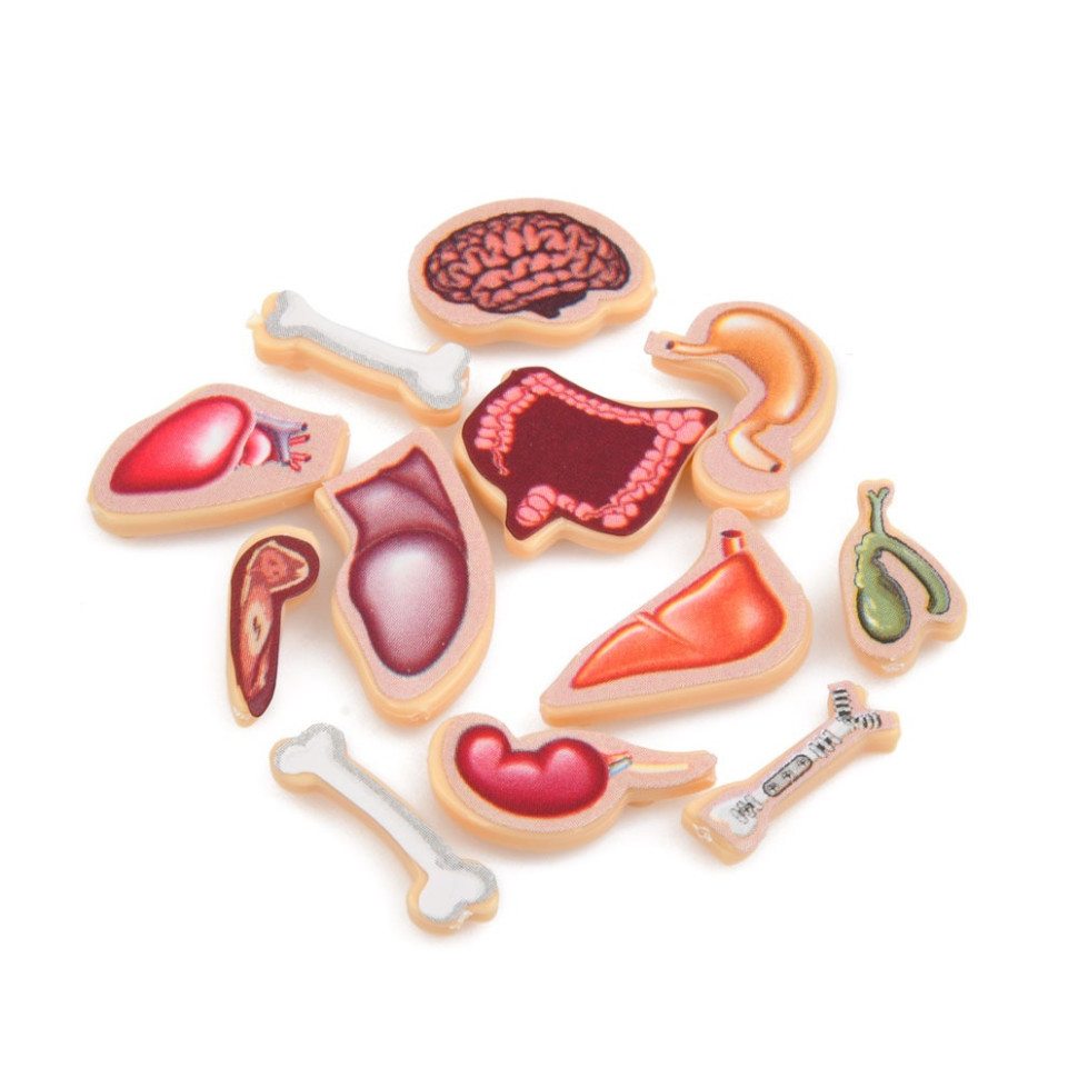 Дитяча настільна гра "Crazy Doctor" 1295-3 ігрове поле, рулетка Вінниця - фото 3