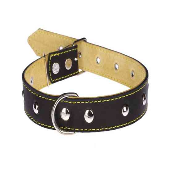 Нашийник 417 30 мм "Класик" шкіряний подвійний прикрашений Вінниця