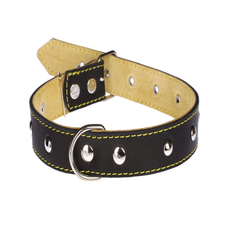 Нашийник 417 30 мм "Класик" шкіряний подвійний прикрашений Вінниця - фото 1