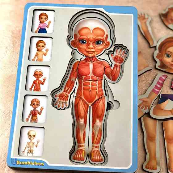 Деревянный пазл-вкладыш 