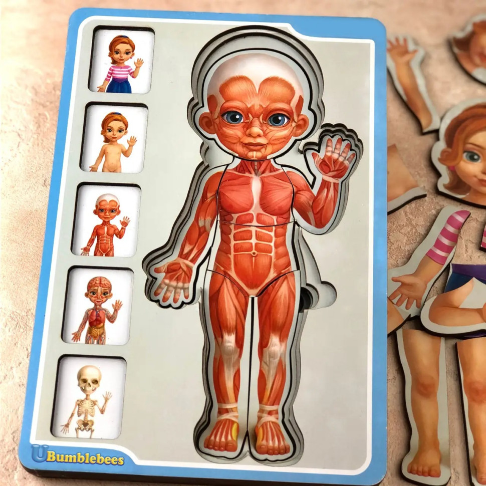 Деревянный пазл-вкладыш 