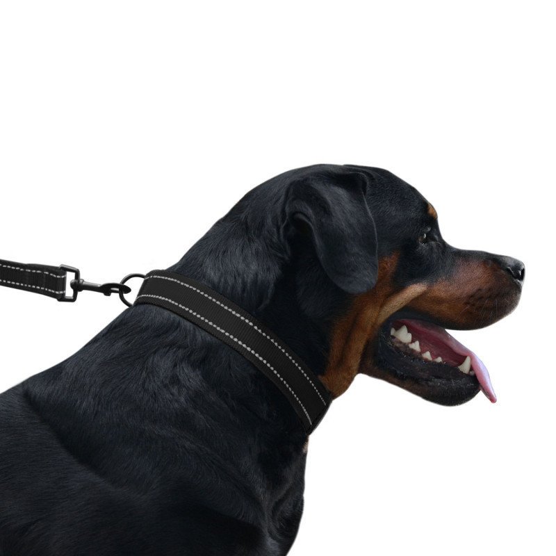 Нашийник для собак нейлоновий світловідбивний BronzeDog Active з пластиковою пряжею (фастекс) чорний Одеса - фото 3