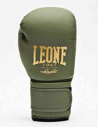 Боксерські рукавички Leone Mono Military 12 ун. Кам'янське