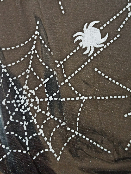 Колготи жіночі павутина з павуками для Хелловіна 50\20den L 46-48 чорний Київ - фото 2