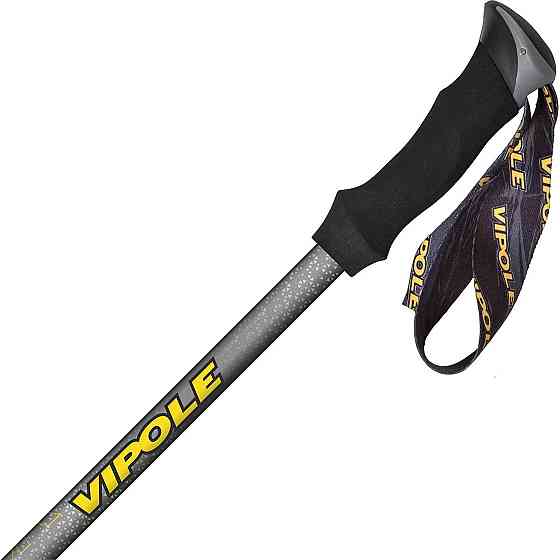 Палки трекинговые Vipole Climber AS QL (S20 11) Вінниця