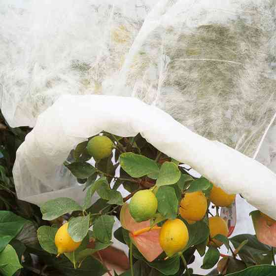 Захисний нетканий матеріал, 2x10 м, арт. 6747 Київ