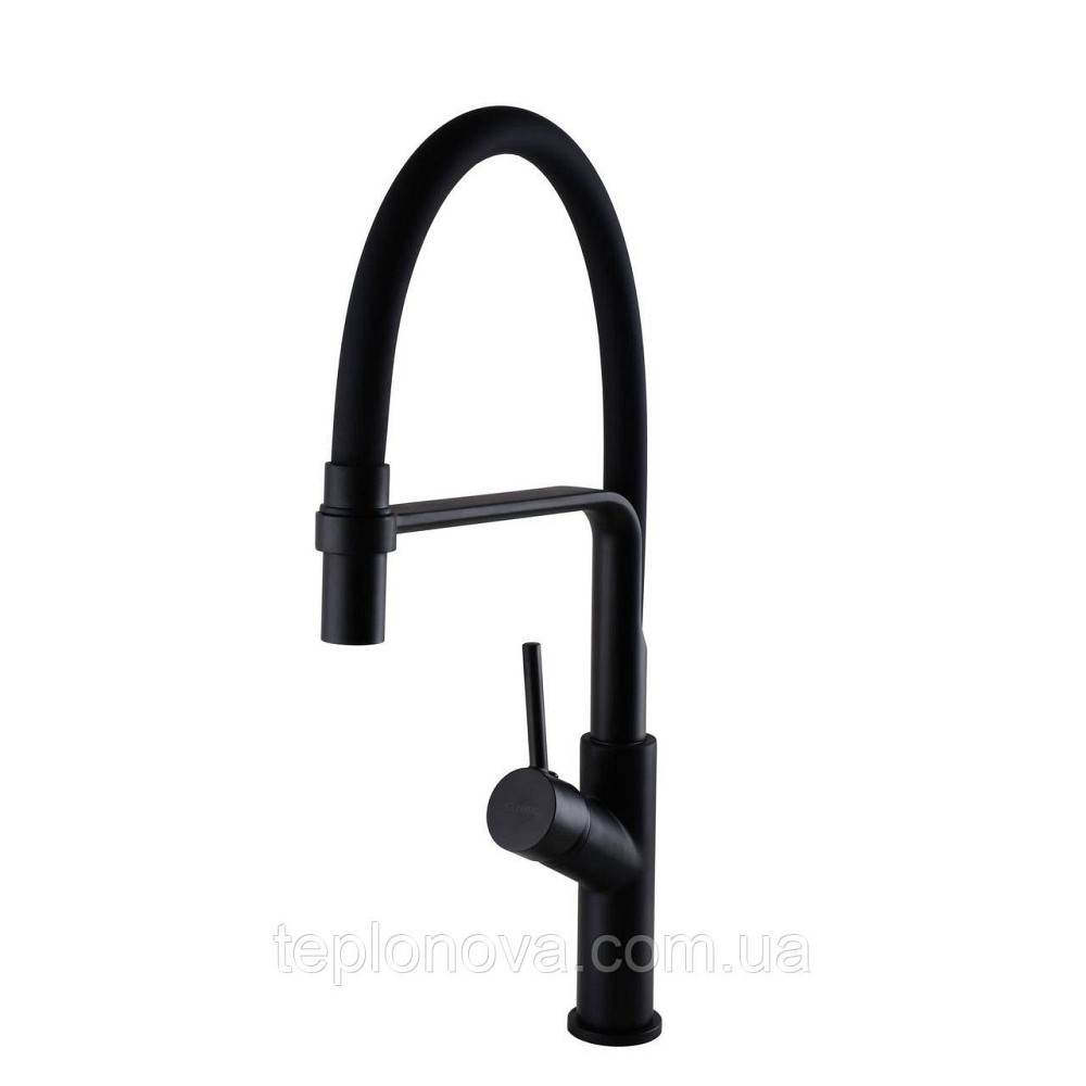 Смеситель для кухни Globus Lux DENVER Flex GDF-32-10-01 Черновцы - изображение 3