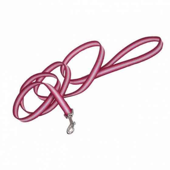 Coastal Trendz Graduated КОСТАЛ ГРАДИЕНТ поводок для собак, 1смХ1.8м Киев