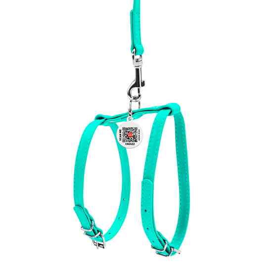 Шлея с поводком для собак кожаная WAUDOG Glamour с QR паспортом, Ш 9 мм, А 20-30 см, В 30-40 см ментоловый Киев