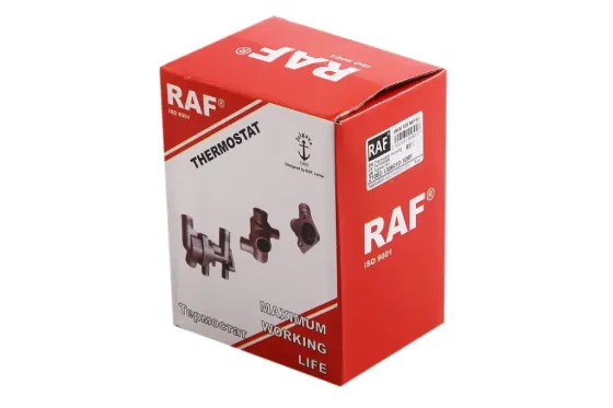 Термостат 21082 у складі RAF (інж., 5 патрубків) Вінниця