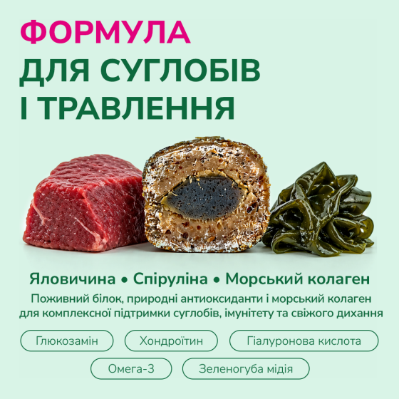 LK Baits Pet Nutrigel Beef S-M Функціональні ласощі для собак для суглобів з яловичиною і спіруліною (Ø 15 мм), 150 г Киев