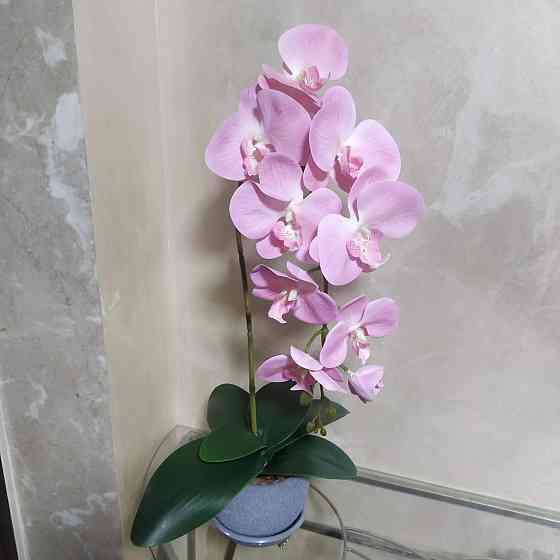 Штучна латексна орхідея VIP у сірому керамічному кашпо на одну рожеву гілку Дніпро