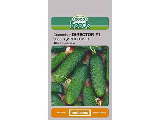 Огурец ДИРЕКТОР F1 [10 семян] (10 пачек) ТМ GOOD SEEDS Киев