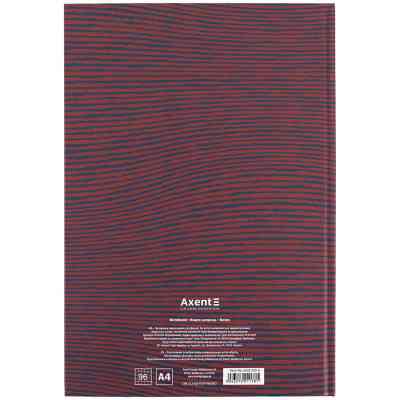 Книга записна Axent Earth colors Magical А4 96 аркушів клітинка (8422-573-A) Вінниця