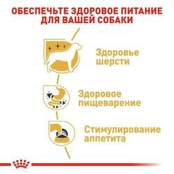 Royal Canin Chihuahua (Роял Канін Чихуахуа Едалт) вологий корм для собак породи чихухуа від 8 міс. 85 г х 12 шт Запоріжжя - фото 4