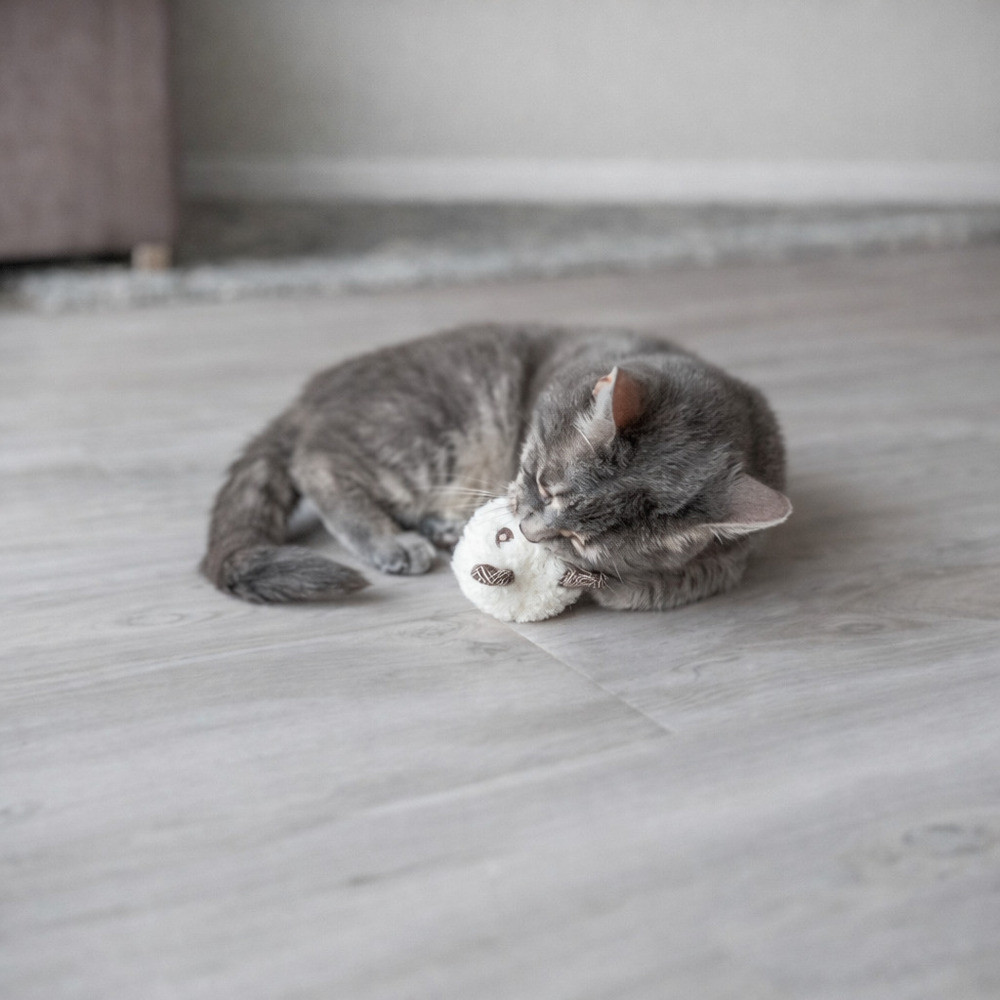 Іграшка Trixie для котів Ведмідь плюшевий з котячою м ятою 8 см в асортименті Київ - фото 3