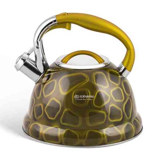 Чайник нержавейка со свистком бытовой, Качественный чайник для газовой плиты газовый 3 литра IE-49 Львов