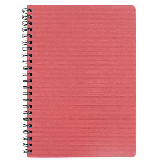 Декоративний блокнот на спіралі А4, 96л, з закладками, SMILTAINIS Київ