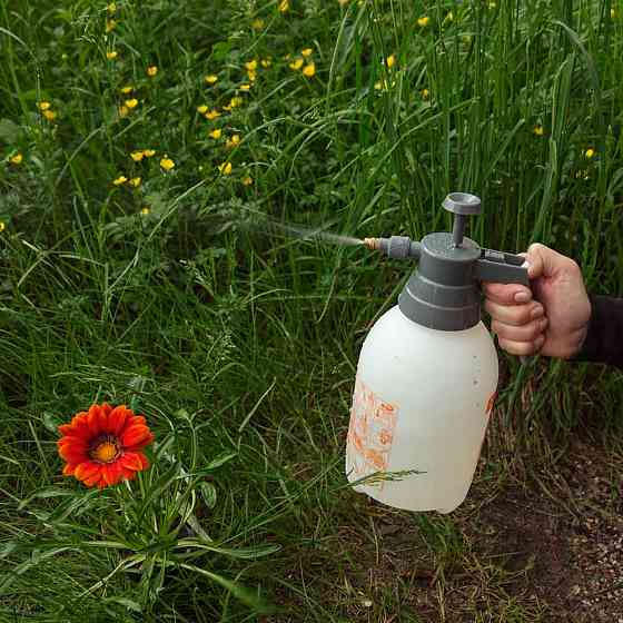 Flora Опрыскиватель ручной 2л FLORA (5004334) Київ