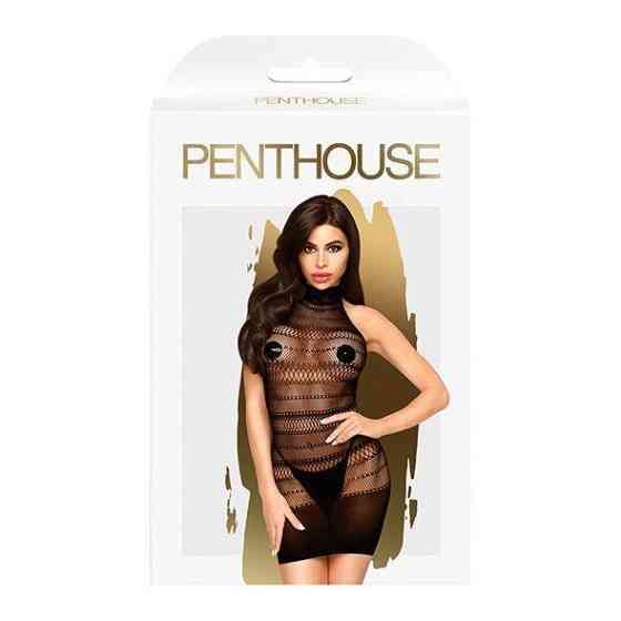 Міні-сукня сітка з горлом Penthouse - Epic Night Black XL Sex Aura Київ