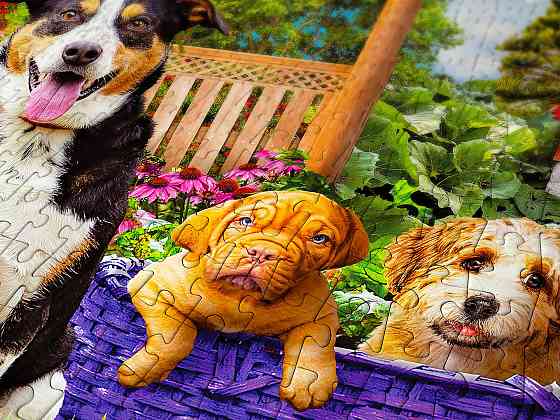 Пазл Щеняча ділянка - Puppy Patch (Enjoy-2040) Киев