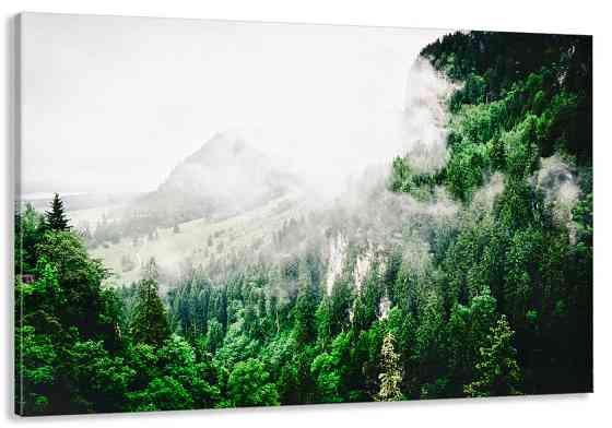 Картина холст у вітальню / спальню  Природа гір    MLP_49 ( 60х30см ) 60x100 см Київ