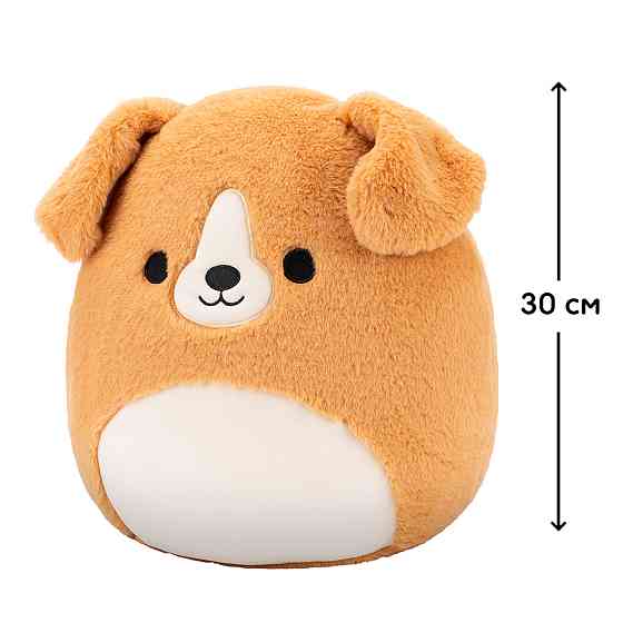 М'яка іграшка Squishmallows – Лабрадор Стеван (30 cm) Дніпро