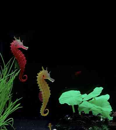 Морський коник силіконовий та люмінісцентний 10 на 5 см рожевий Київ