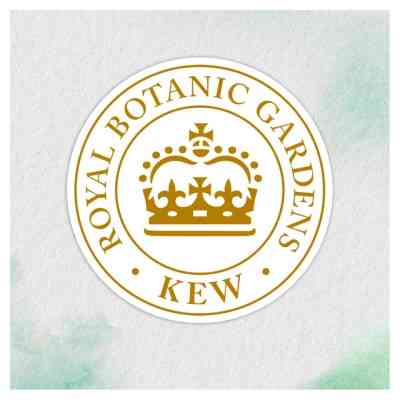 Маска для волосся Herbal Essences Кокос Живильна 300 мл (8700216209922) Вінниця