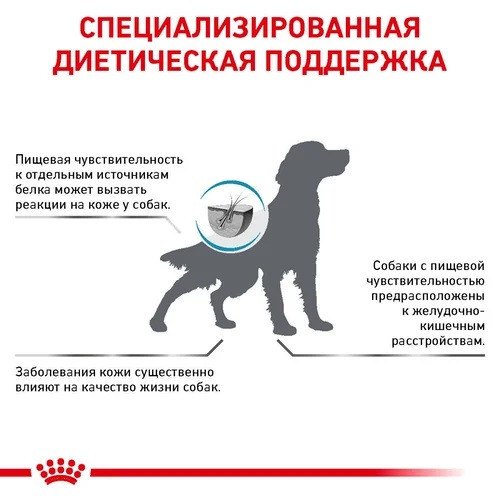 Royal Canin Skin Care (Роял Канін Скін Кер) сухий корм для собак у разі дерматозів і випадання шерсті 11 кг. Запоріжжя - фото 3