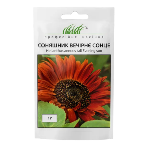 Соняшник Вечірнє сонце 1гр Професійне насіння Житомир - изображение 2