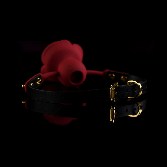 Кляп троянда із силікону та італійської шкіри Rose Ball Gag UPKO Sex Aura Київ