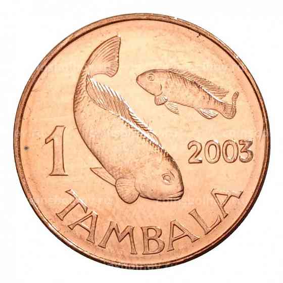 Malawi Малаві - 1 Tambala 2003 aUNC Полтава