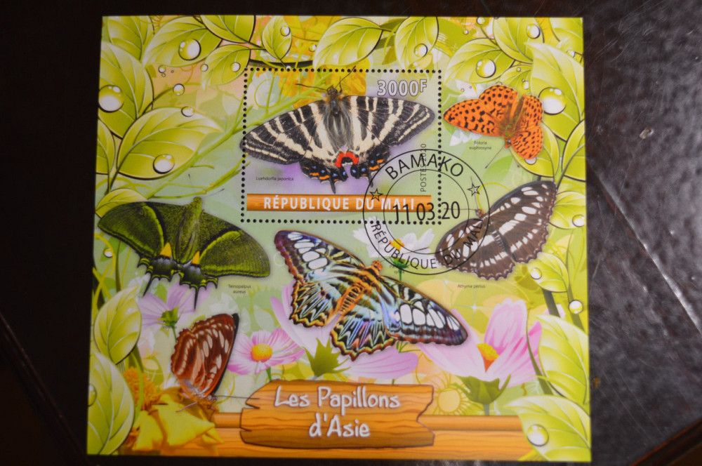 Малі. Марки. Фауна. Блок. 2020 рік (В-1) Полтава - фото 1