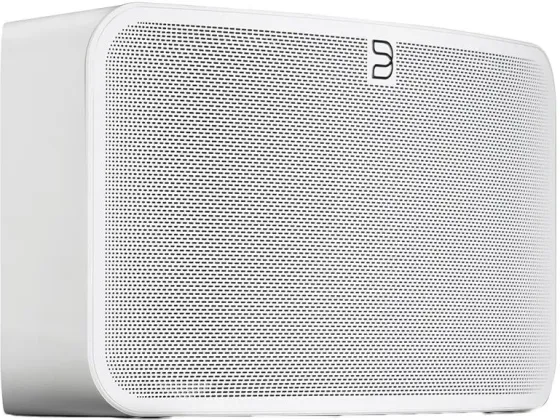 Портативная колонка Bluesound PULSE MINI 2i Biały Киев