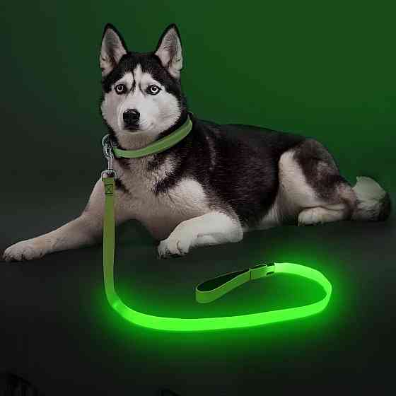 Світлодіодний повідець для собак Colaseeme LED 120 см, USB Type-C (Micro USB) перезаряджуваний, 3 режими підсвічування, нейлоновий Київ